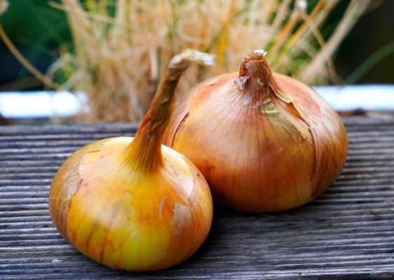 Cebolla: todos los beneficios para la salud que no está aprovechando