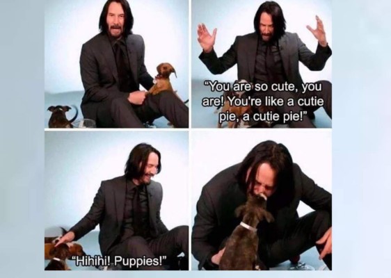 Keanu Reeves cumplió años y sus fans lo celebraron con memes&nbsp;&nbsp;