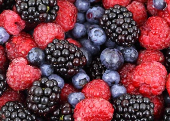 15 frutas que debes consumir para cuidar tu salud