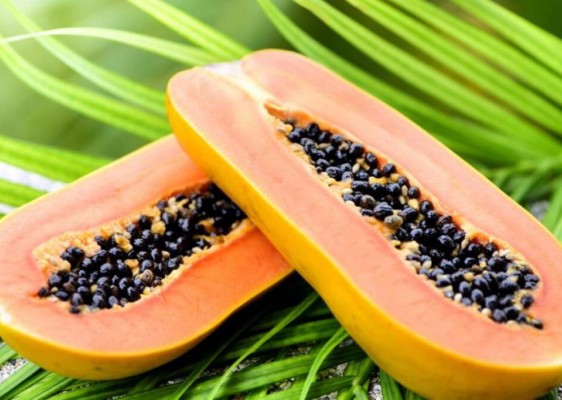 20 beneficios de la papaya y la importancia de incluirla en tu dieta