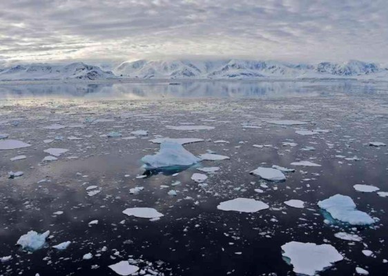 Microplásticos del tráfico por carretera amenazan la vida marina