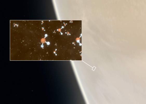 El hallazgo en las nubes de Venus que revela 'potencial vida'&nbsp;&nbsp;