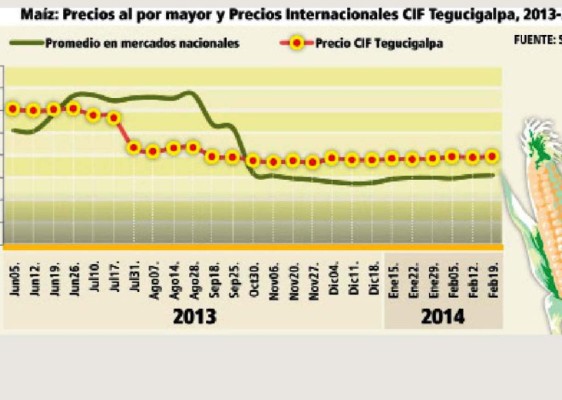 Piden alza al precio del quintal de maíz blanco
