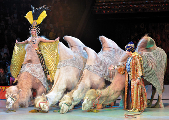 La Caravana de Maravillas