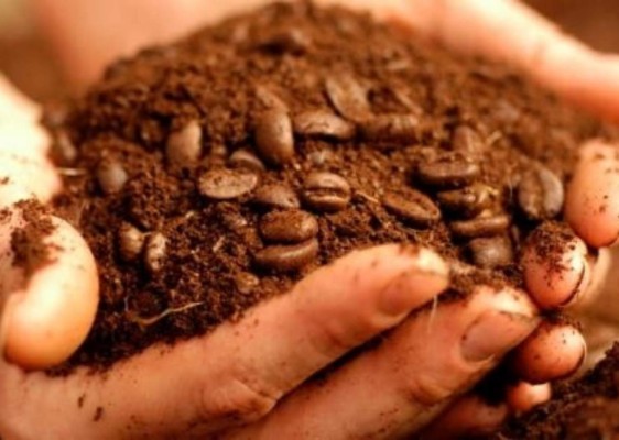 15 trucos poderosos con café para tu rutina de belleza y cuidado del hogar