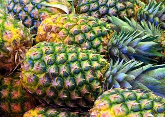 15 frutas que debes consumir para cuidar tu salud
