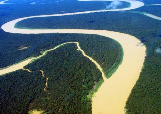 La nube de polvo del Sahara y sus múltiples beneficios para la vegetación