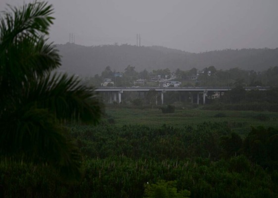 La nube de polvo del Sahara y sus múltiples beneficios para la vegetación