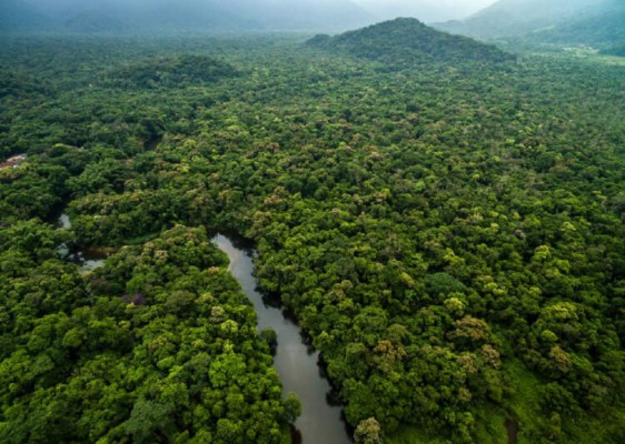 La nube de polvo del Sahara y sus múltiples beneficios para la vegetación