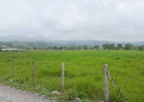 Aseguran otras propiedades al diputado nacionalista Hugo Pinto