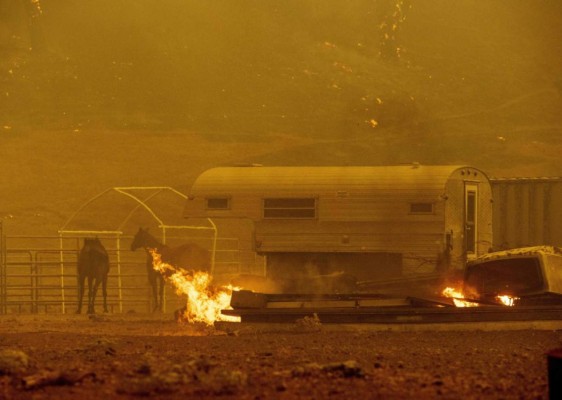 FOTOS: Muertos y miles de casas en peligro por incendios en California  