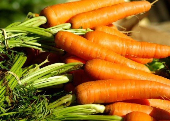 Los 15 beneficios de la zanahoria que no conocías