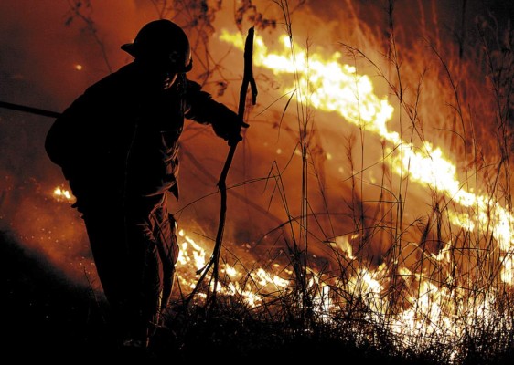 Incendios consumen reserva forestal de la ciudad
