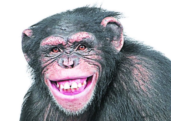 El espacio semanal para las risas