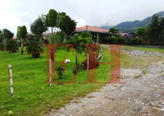 Honduras: Aseguran más bienes del diputado Hugo Pinto en Copán