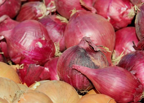 Cebolla: todos los beneficios para la salud que no está aprovechando