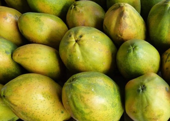 20 beneficios de la papaya y la importancia de incluirla en tu dieta
