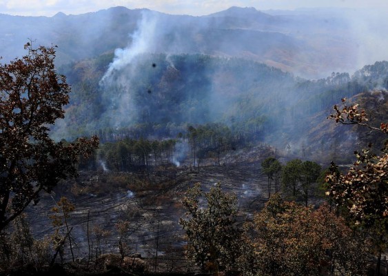 Honduras: Incendio daña 420 hectáreas de bosque en El Hatillo