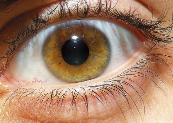 Terapia de células madre para ceguera