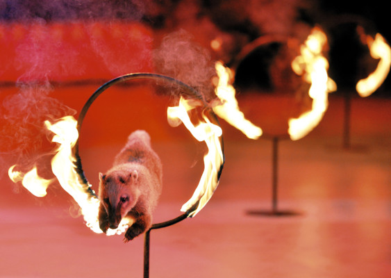 La Caravana de Maravillas