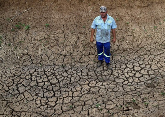 Cinco provincias de Sudáfrica en estado de catástrofe natural por intensa sequía&nbsp;&nbsp;
