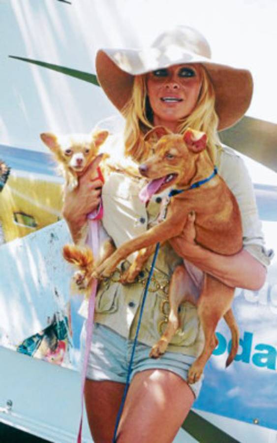 Estrellas que lo dan todo por los perros abandonados