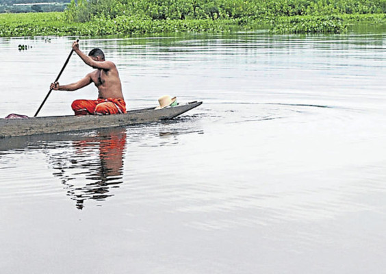 Un encanto natural en tierras brasileñas