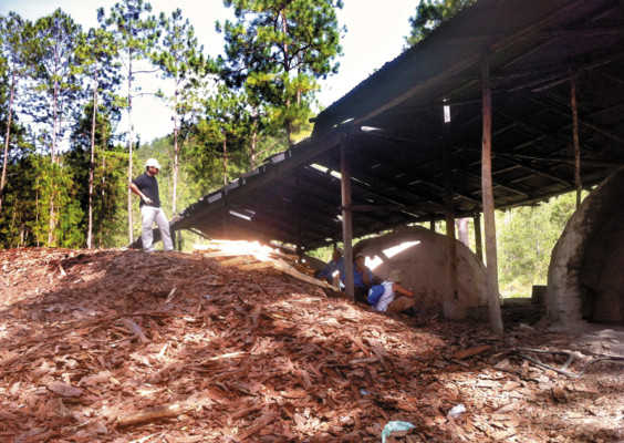 Producir carbón, un negocio rentable para la Esnacifor