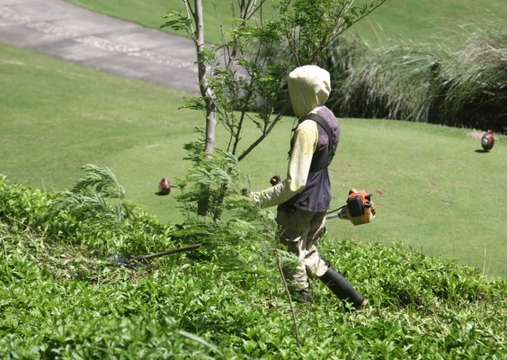 Disfrute el golf, playa y buceo en el club Pristine Bay Resort