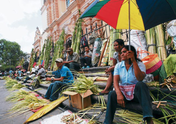 Unos 60 mil católicos portarán sus palmas de olivo