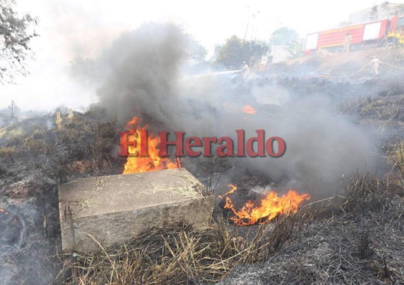 Fotos: Así fue el voraz incendio que consumió varias tumbas del cementerio Sipile en Comayagüela