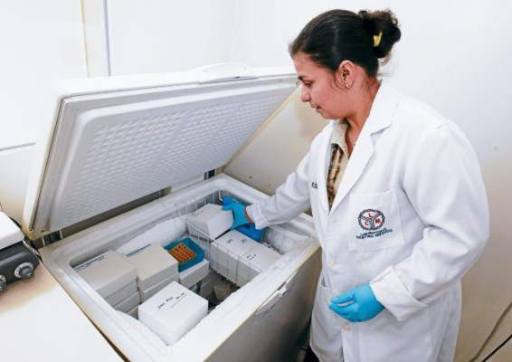 Su ADN lo identifica