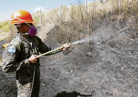 A diario se atienden 20 incendios en Distrito Central