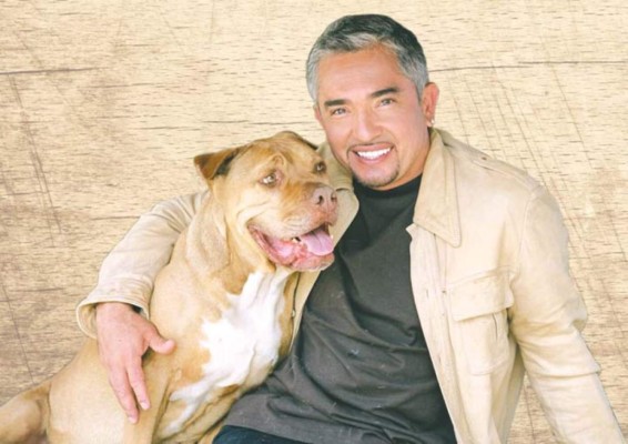 El 'Encantador de perros' César Millán está bajo investigación por posible maltrato animal