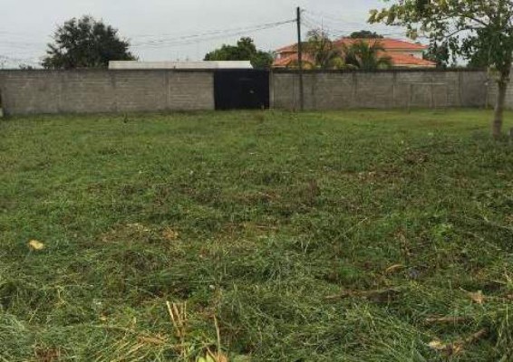 Unos 21 terrenos entre nuevas incautaciones a supuesto narco en Colón