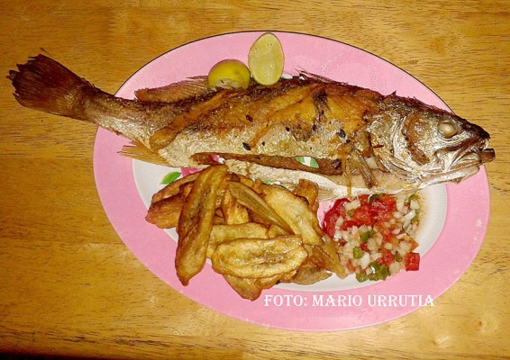 Los ricos manjares del Golfo de Fonseca