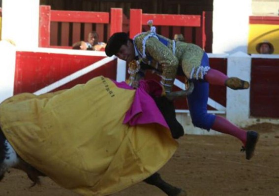 Francisco Rivera Ordónez 'estable' tras ser corneado en el vientre