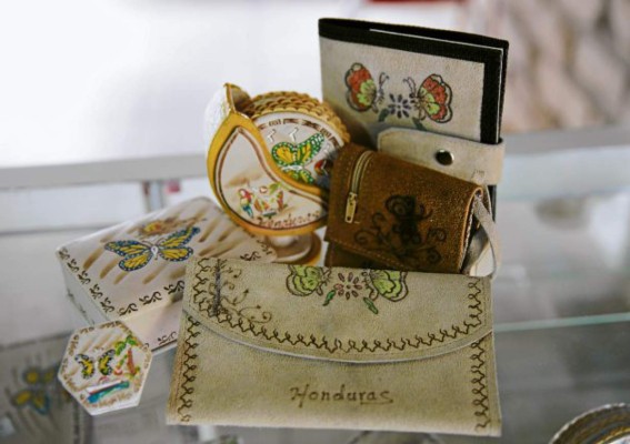 Un viaje al mundo de las mariposas