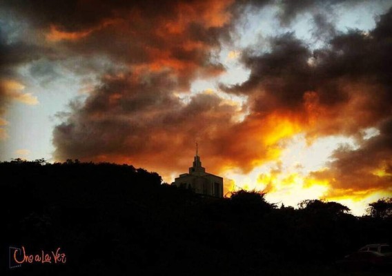 'Uno a La Vez', un proyecto pensado para mostrar el talento artístico de los hondureños