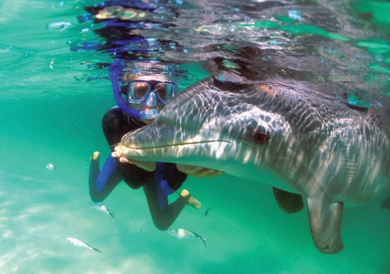 Roatán: Paraíso misterioso donde el verano es eterno