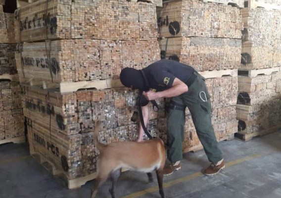 Honduras: Hallan segunda bodega con regletas rellenas de droga