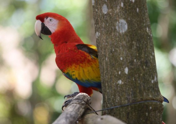 Intimidad con la naturaleza un sueño hecho realidad en Maya Key