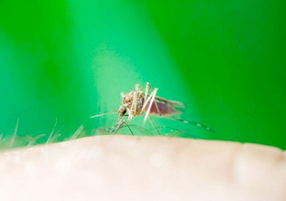 Los insospechados usos del bicarbonato de sodio