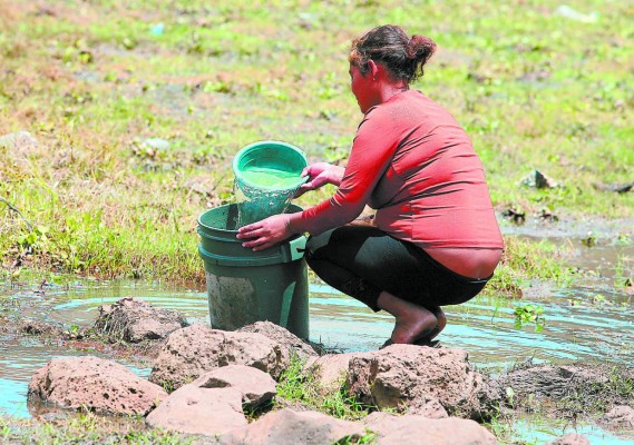 Sitio ecoturístico planean para Laguna del Pedregal