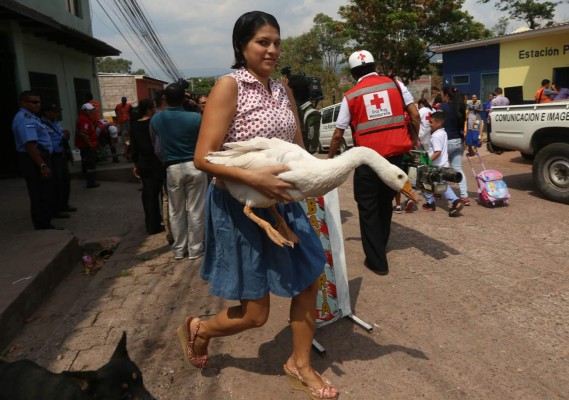Más de 200 mil casas de la capital han sido intervenidas por el dengue