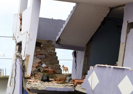 Desgarradoras imágenes: Albania llora a sus muertos producto de potente sismo