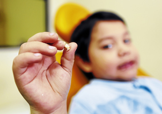 Dientes y su aporte a la salud