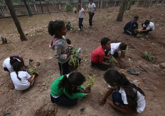 Sembramos el respeto al ambiente con reforestación