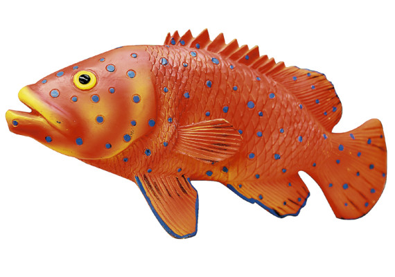 Sumérjase en la ola veraniega