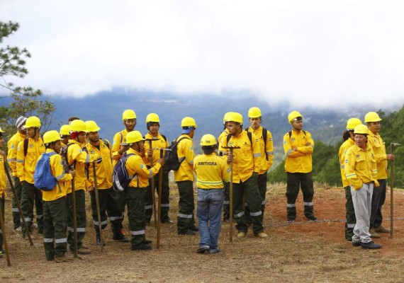 124 municipios compiten por ser el más verde de Honduras